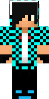 Skin