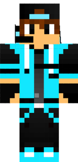 skin