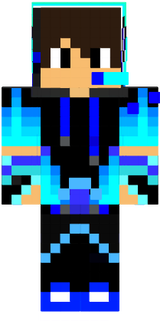 skin