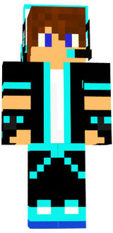 skin