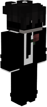 fsa