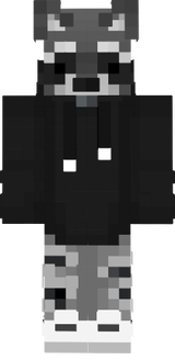 raccoon