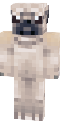 Preview of texture: Pug