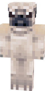 Pug