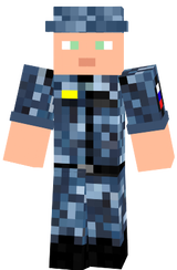 Скин