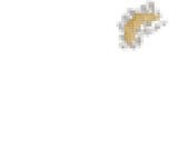 Gold Glow v2
