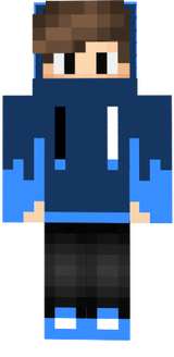 [T31] Pavel Hexazor SMP