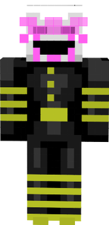 skin