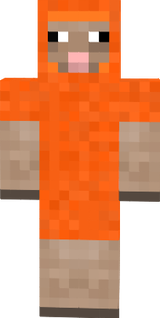 orange really sheep