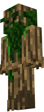 ent anciano