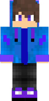 asonic dlya minecrfat