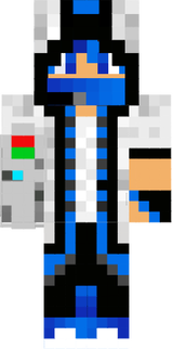 skin