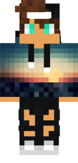 skin