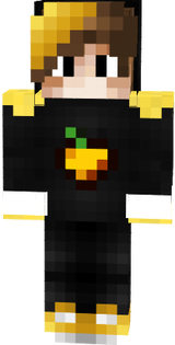 skin 5