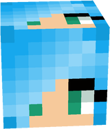 Random Skindex Skins