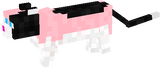 pam