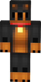 Dogão2