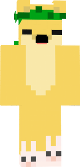 ПЫА