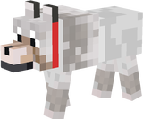 pipo