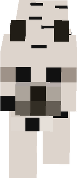 Snow Leopard