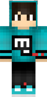 skin