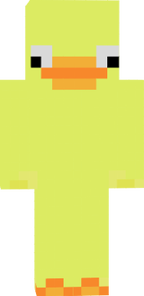 Derpy Duck
