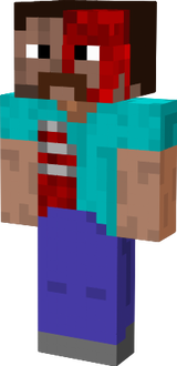 Invalid steve