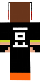 skin