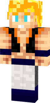 gogetto