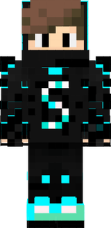 skin