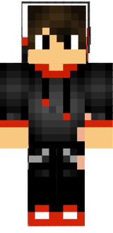1 skin