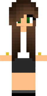 Flight Attendent