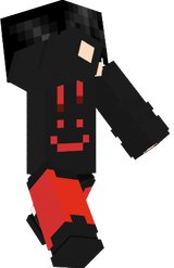 Team-Skin