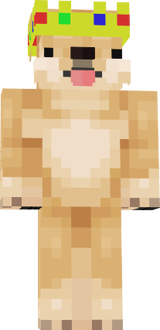 re doge