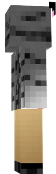 Kočičák Moonvčičák