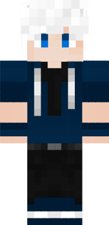 ViniDSC