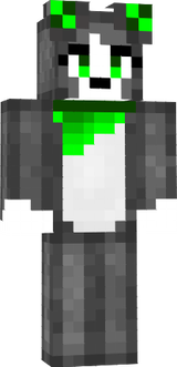 anita_lps_robot