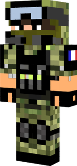skin
