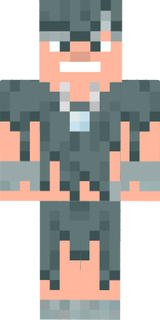 Minecraft human stray