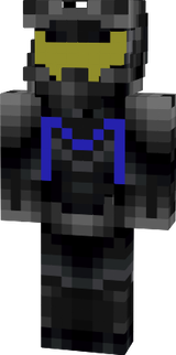 fly