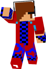 endermeninja