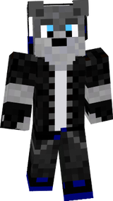 2 skins