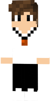 Skin do meu personagem no minecraft