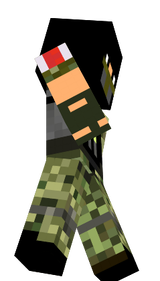 skin