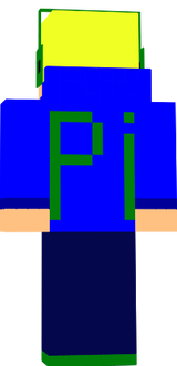 fixed pi skin