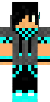 skin