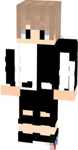 vrsss
