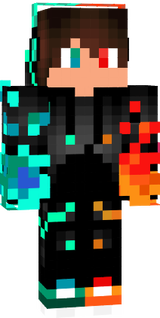 skin