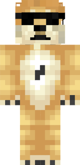 DOGE DOG
