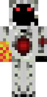 Entyty 304